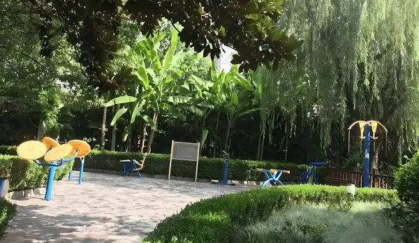 豪门妻难为